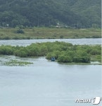 구멍 난 하늘…전국 곳곳 침수·붕괴 등 비 피해 속출(종합)