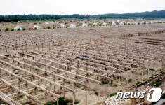 노동신문, 원산온실 농장 건설장 주목…강원도 정신 강조