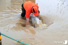 하수구 가득한 비닐