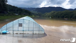 대청호 최상류 옥천 서화천생태습지 침수…수질개선 기능 상실