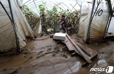 침수와 함께 뻘 가득 찬 비닐하우스