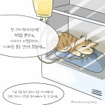 [해피펫툰]고양이 자가진료가 위험한 이유…무지개다리 건널 수도