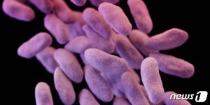 카바페넴 항생제 내성 세균 감염증 증가세…의료기관 관리 강화