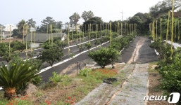 [귀거래사]제주 남서쪽 아름다운 언덕 위 ‘동심원’을 아시나요