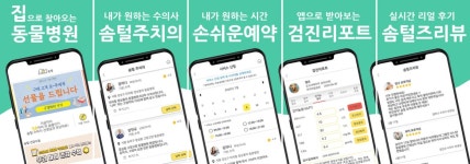 반려동물도 집에서 진료받는다…수의사 방문검진 서비스 솜털 출시