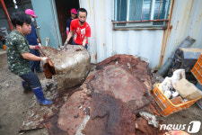 이길리 수해 복구작업 치우고 또 치우고