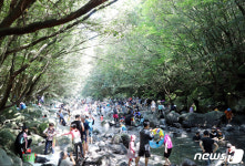 푸르른 제주 돈내코