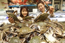 금어기 끝났다…롯데마트, 서해안 햇꽃게 파격 할인