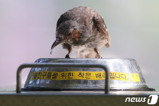 동물친구들을 위한 작은 배려