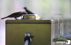 여기가 폭염 식혀주는 옹달샘