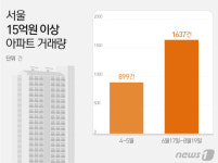결국은 서울 똘똘한 한채…6·17 이후 초고가 아파트 거래량 82%↑