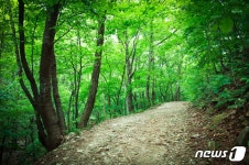 산림보호구역에도 치유의 숲 조성… 산림청 규제 완화