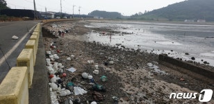 국토 서남단 진도, 바비에 가로수 넘어져…양식피해 집계안돼