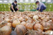 법인씨엘푸드시스템 | '학교 급식용 농산물, 판로를 찾아'