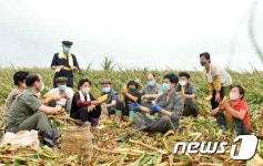 황해남도 태풍 피해 복구 나선 北 간부 주민과 한가마밥