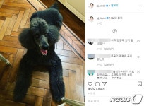 정용진 부회장, 몰리 근황 공개…몰리스펫샵도 덩달아 주목