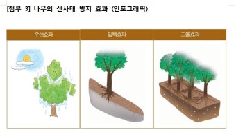 숲의 산사태 방지 효과, 수치로 증명…토사유출 방지 85배 높아