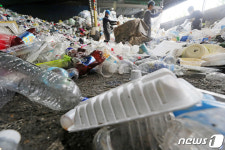 수거된 일회용 용기들