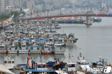 포항 동빈내항으로 피항한 어선들