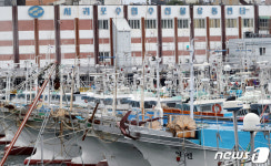 하이선 북상에 피항한 선박들