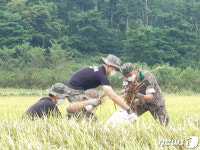 태풍 피해 복구 작업 중인 장병들