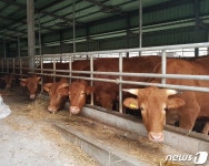 예산군, 축사 사육밀도 초과 의심농가 관리 강화