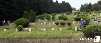세종시 공설묘지 벌초 바쁘다 바빠