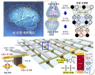 연대·성대 연구팀, 뇌 신경세포 닮은 이온-젤 시냅스 소자 구현