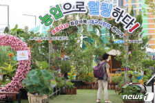 코로나19 극복 다양한 꽃과 식물 속에서 힐링