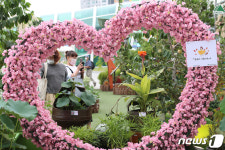 코로나19 극복 다양한 꽃과 식물 속에서 힐링