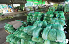 배추 1포기 만원... 추석 장바구니 물가 비상