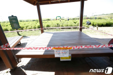 하늘공원 전면 폐쇄 전 가을정취 만끽하는 시민들