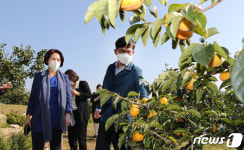 농업기술명인의 단감농장 방문한 농촌진흥청장