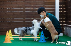 명절 앞둔 애견호텔 인기 상승