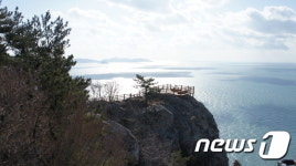 17억 보험 아내 탄 차 금오도 바다추락…남편 살인죄 벗었다