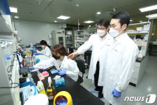 KT·엔젠바이오, 유전자 정보 기반 디지털 헬스케어 사업화 신호탄