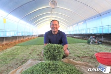 [귀거래사]연봉 6500만원 김 대리, 귀농 3년차 억대 연봉 농부로