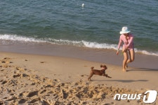견주도 반려견도 즐거운 여행, 이곳에 가면 됩니다