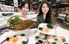 홈플러스, 수산물이력제 적용한 제주 광어회 맛보세요