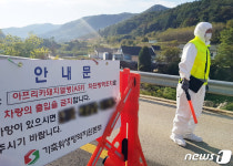 역시 멧돼지였나?…1년만에 재발 화천 돼지열병 감염원 역학조사