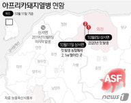 죽고싶은 심정…강원 첫 아프리카돼지열병 발생 농장주 참담