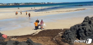 놀러온 안전요원·횟집주인·관광객…어린 남매 구한 3인방