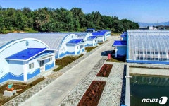 노동신문 화력발전소서 나오는 더운물로 자라 양식