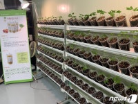 [귀거래사]30년 전문 경영인, 귀농 후 마을기업 대표로 깜짝 변신