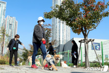 성동구, 반려견 산책 매너교육 프로그램 운영