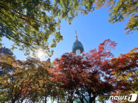 형형색색 물들어가는 남산