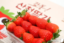 산청군, 딸기 포장박스 100만매 공동구매…예산 9천만원 절감