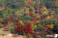 울긋불긋 단풍 든 푸른수목원