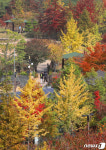 푸른수목원에 찾아온 단풍
