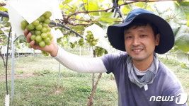 [귀거래사]여우가 반한 포도 자체 브랜드로 부농의 꿈